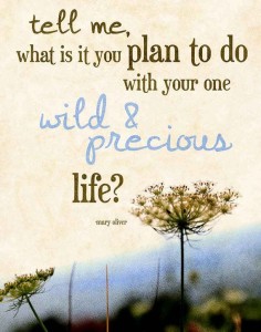 mary oliver quote