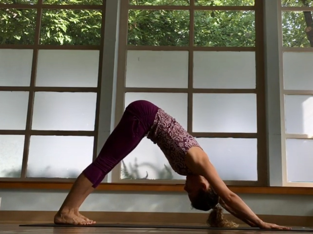 Vinyasa Basics Downward Dog