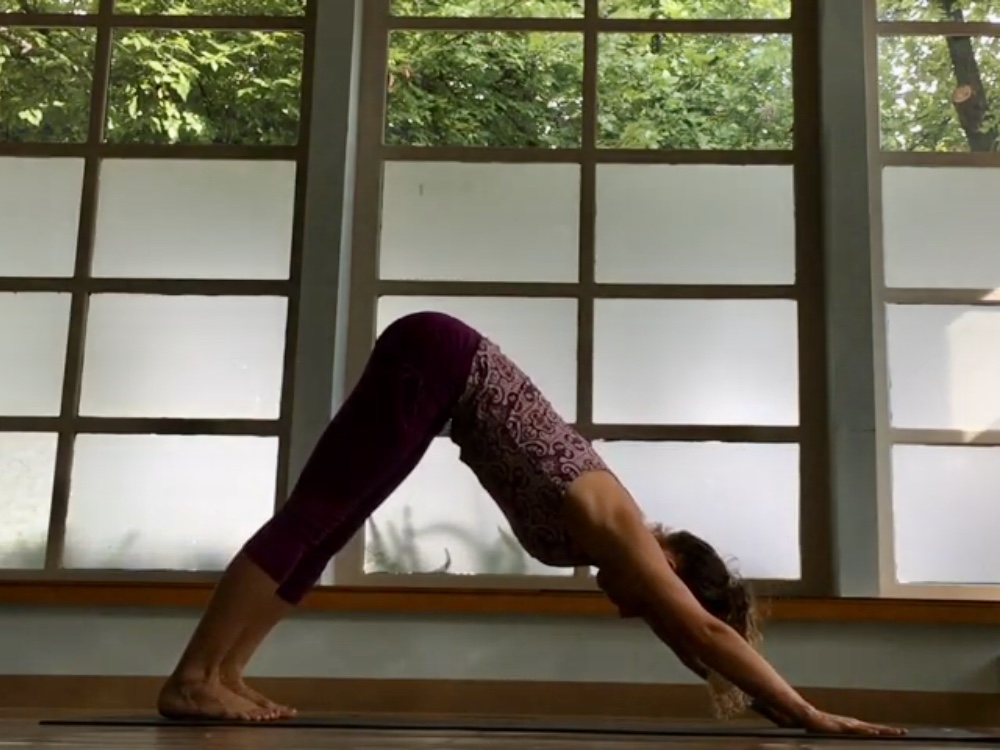 Vinyasa Basics Downward Dog