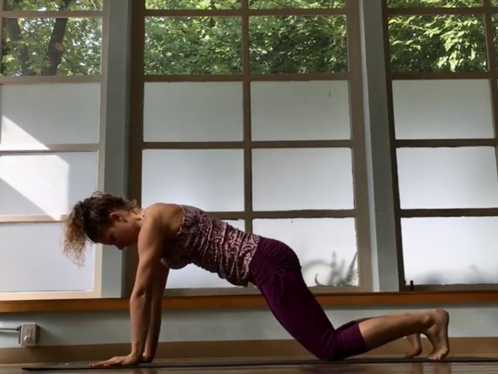 Vinyasa Basics Press Up