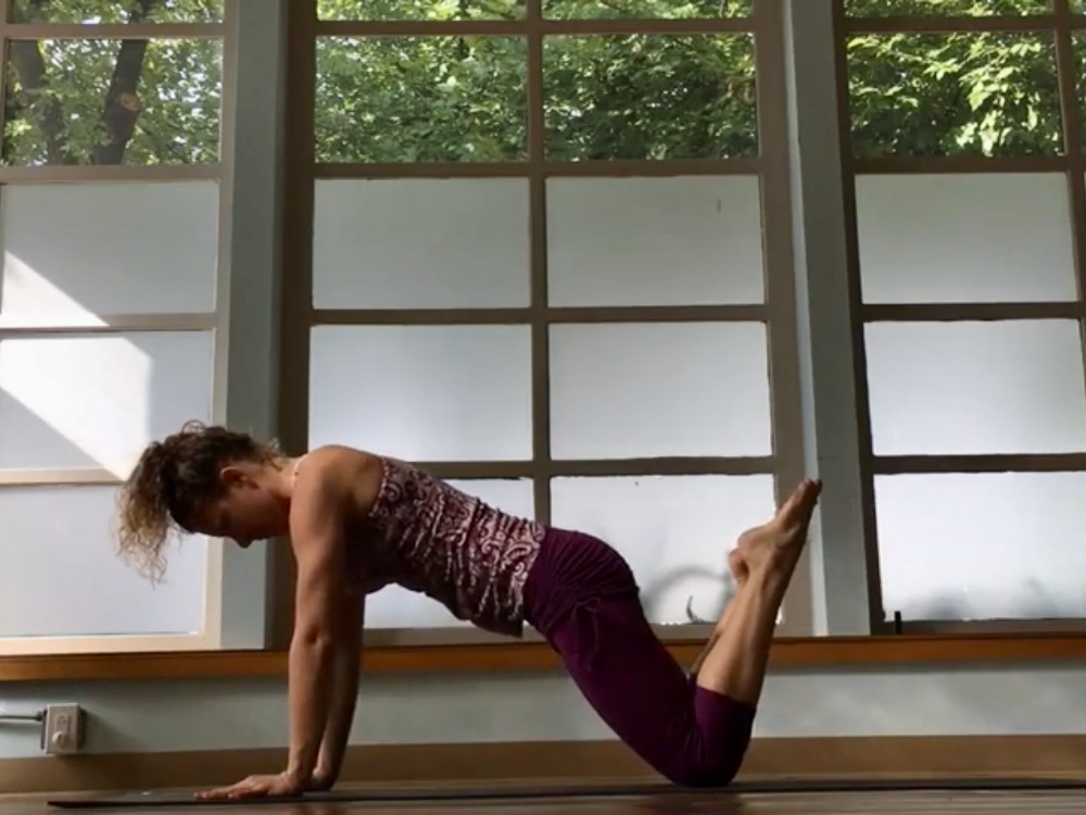 Vinyasa Basics Press Up