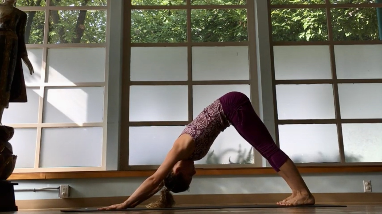 Vinyasa Basics Downward Dog