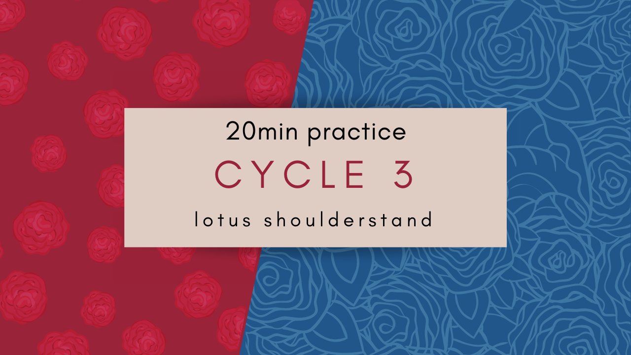 Shoulderstand Cycle 3 Yoga wiht Courtney Bell Yoga Current (1)